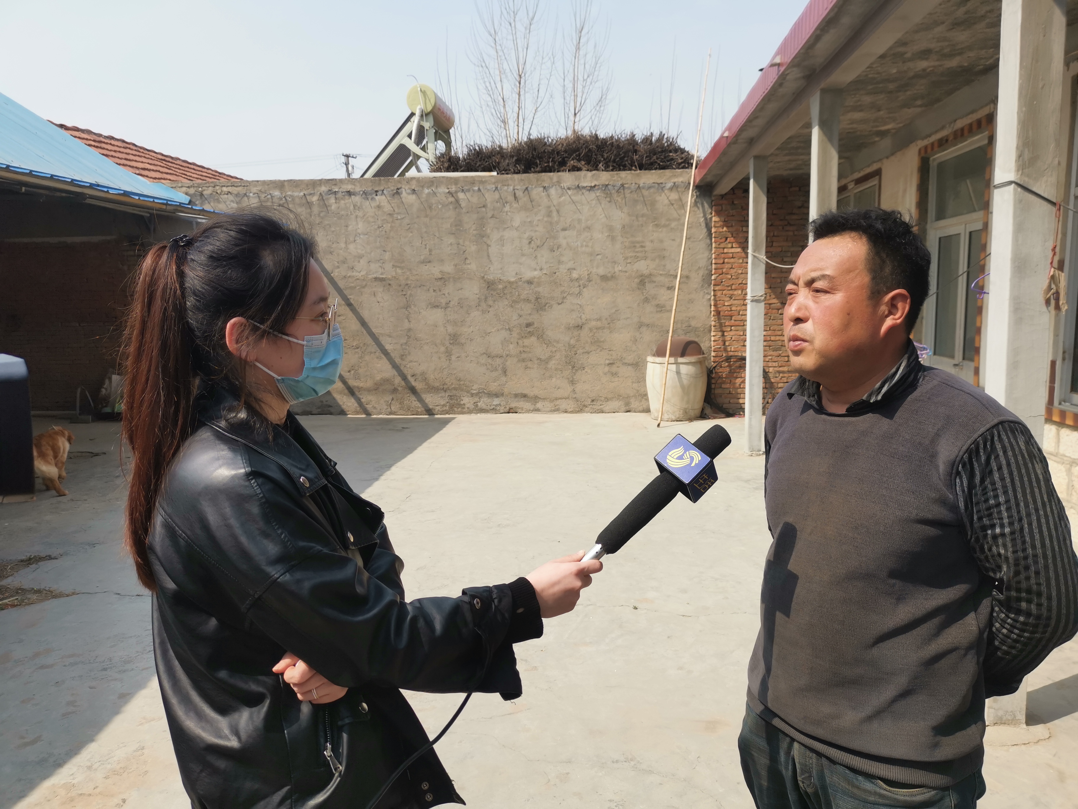 第209所 平度市崔家集镇状元府安博(中国)_安博(中国)官方刘丽新小学 第209所 平度市崔家集镇状元府安博(中国)_安博(中国)官方刘丽新小学